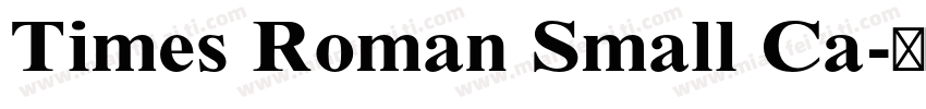 Times Roman Small Ca字体转换